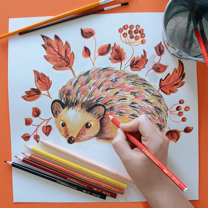 Actual product image STABILO Aquacolor case of 12 (12x)