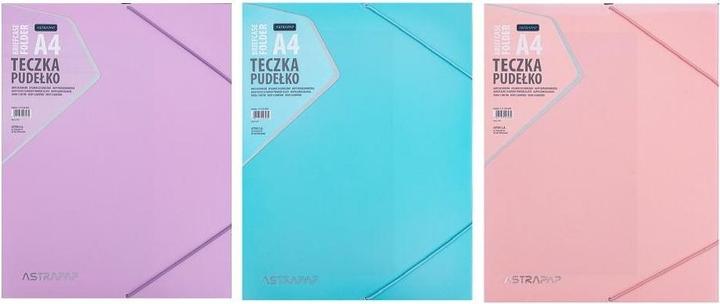 Astra Ordnerbox mit Gummiband PP Pastellmix (1x)