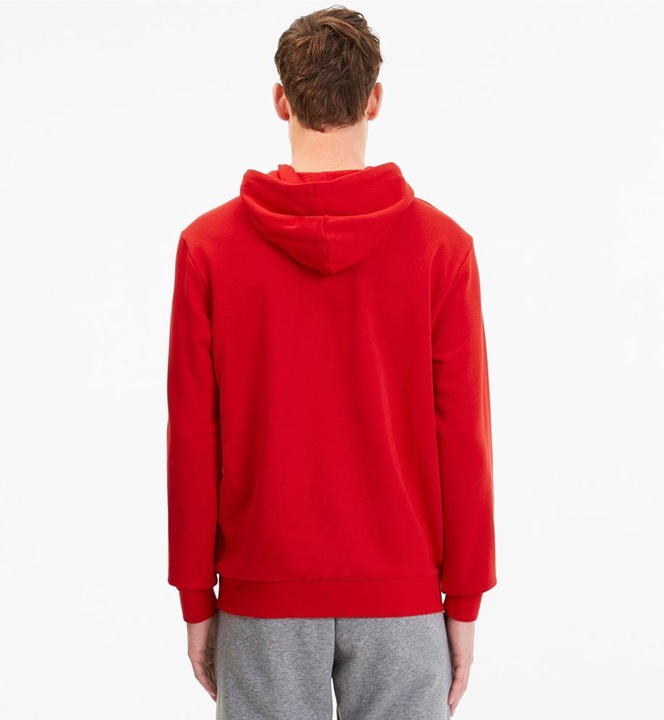 Image du produit Puma Sweat à capuche TeamGoal 23 Casuals Hommes (XXL)