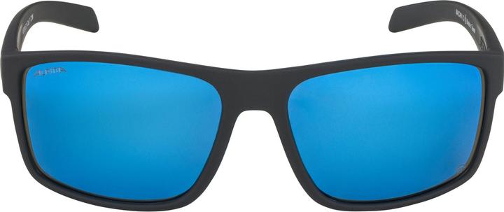 Image du produit ALPINA SPORTS Nacan I Pol