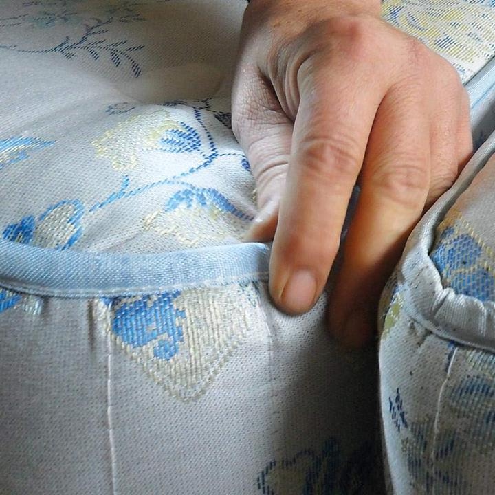 Produktbild Polti Cimex Eradicator (4 Bar, 2250 W)