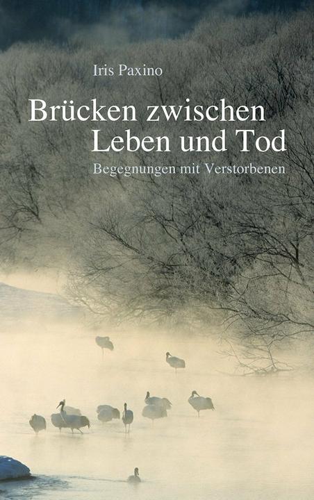 Produktbild Brücken zwischen Leben und Tod (Deutsch, Iris Paxino, 2024)