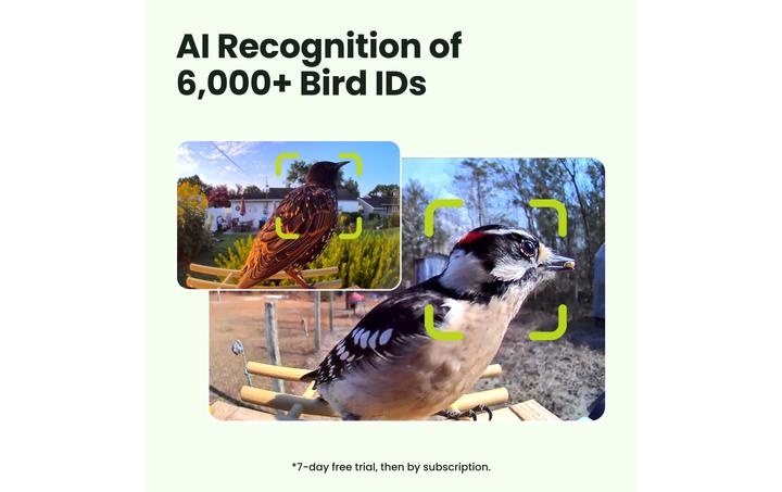 Produktbild Birdfy FSC Vogelfutterhaus mit AI-Kamera