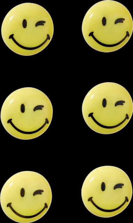 Actual product image Franken Magnets smilies (6 x)