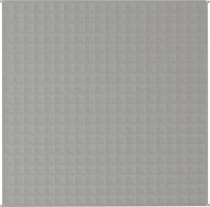 Immagine prodotto vidaXL Gewichtsdecke (200 x 200 cm)