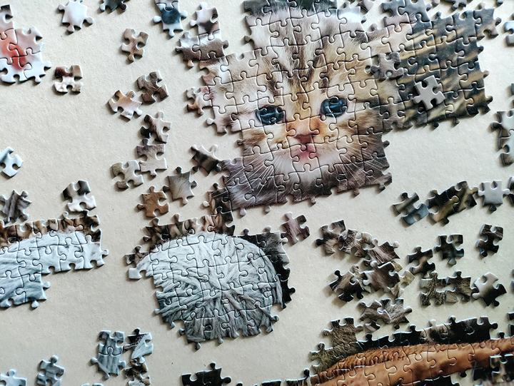 Produktbild Tactic Cute Kittens 1000 pcs (1000 Teile)