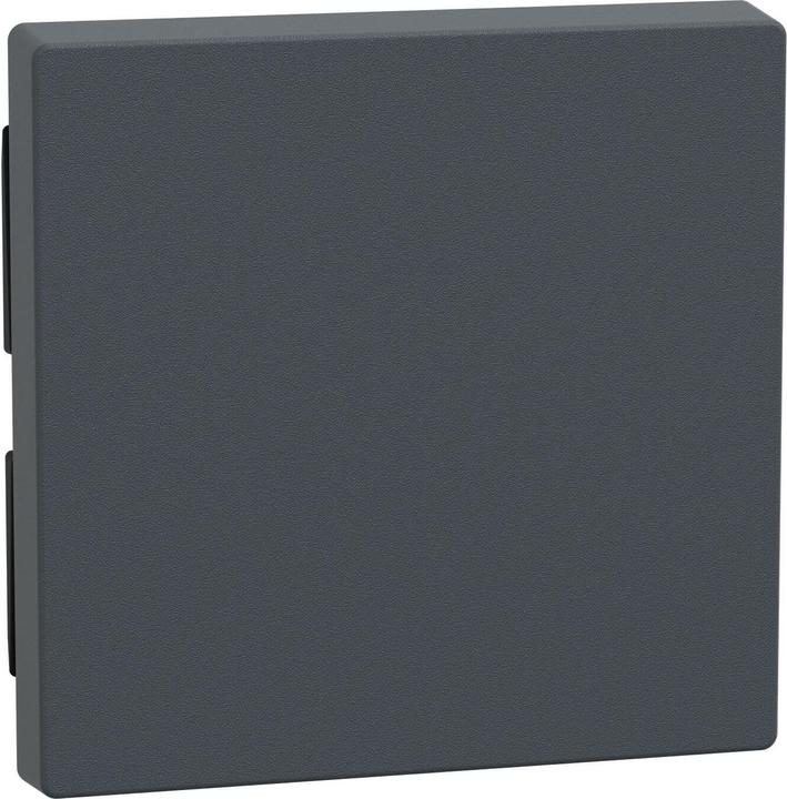 Actual product image Merten Rocker