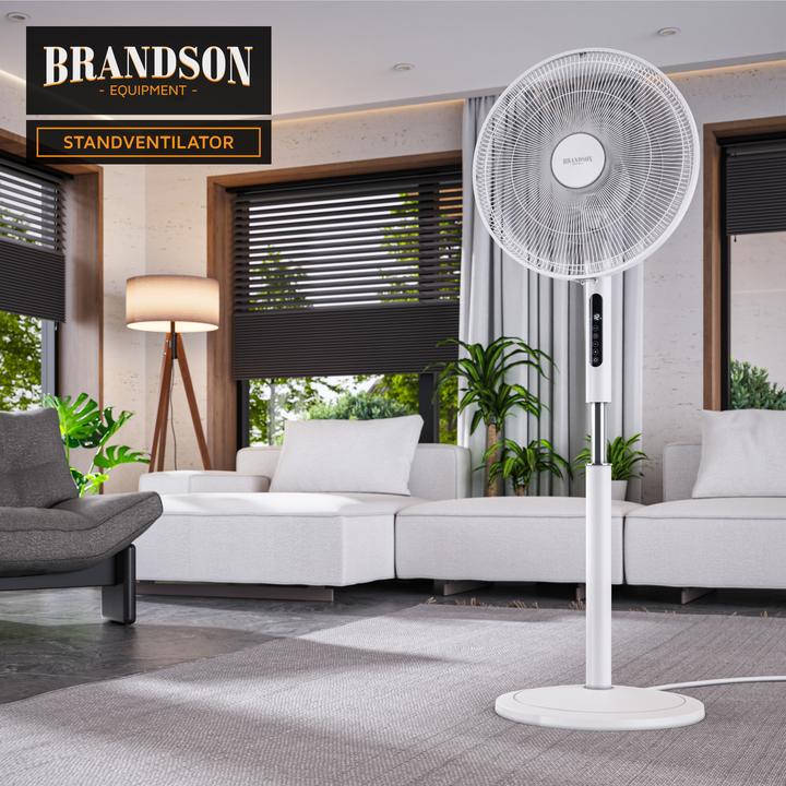 Actual product image Brandson Pedestal fan (59 dB)