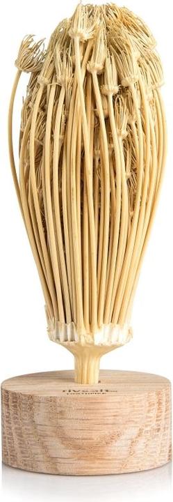 Actual product image RIVSALT Toothpick