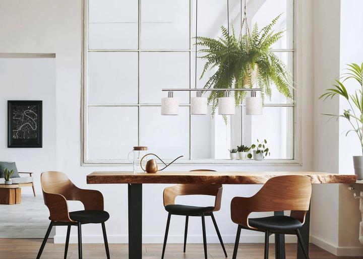 Produktbild Näve 4er Pendelleuchte Maron (E14)