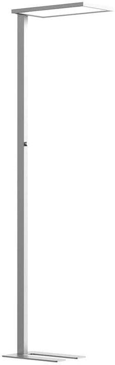 Contini Morelux (7500 lm)