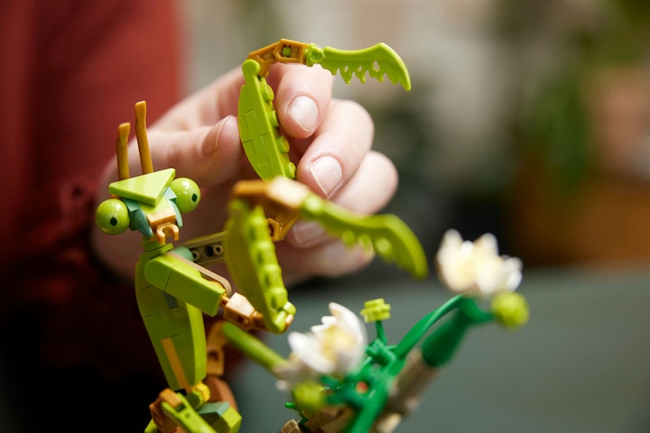 Image du produit LEGO La collection d'insectes (21342, LEGO Ideas)