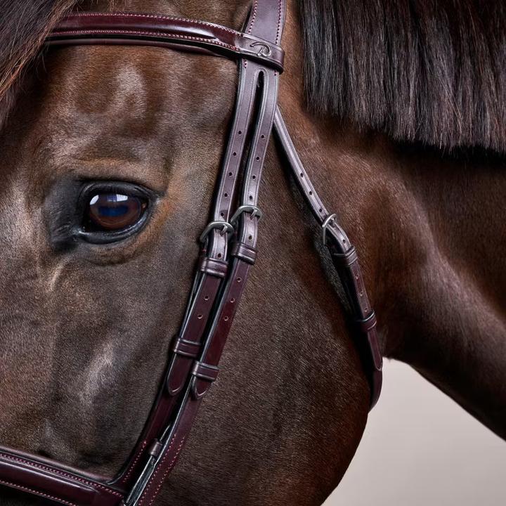 Immagine prodotto Dy'on Flash New English Collection