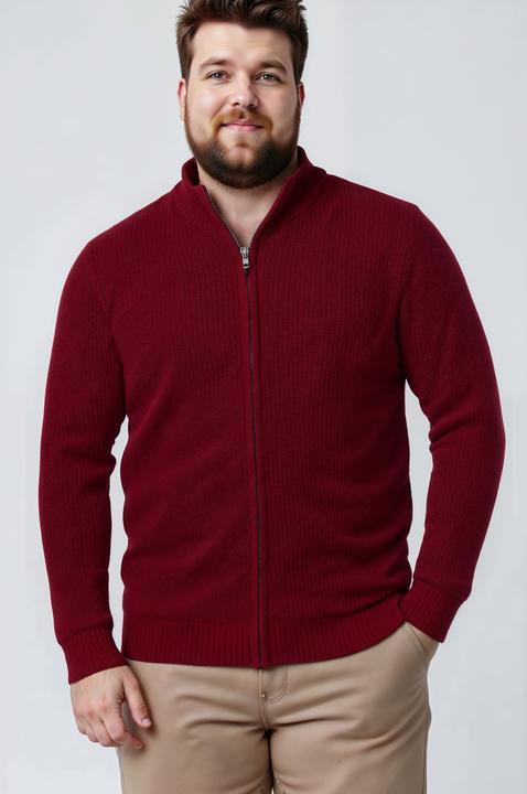 Produktbild Men+ Strickjacke, Stehkragen, Zipper (4XL)