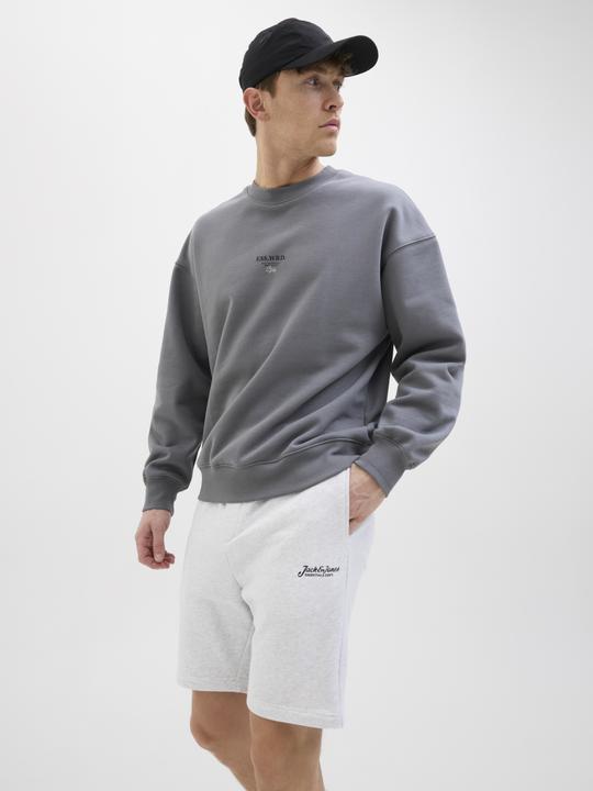 Image du produit Jack & Jones Regular Fit Regular Fit Shorts Regular Fit Shorts (XS)