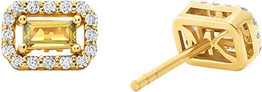Image du produit Michael Kors Premium Ohrstecker (Acier inoxydable, Argent 925)