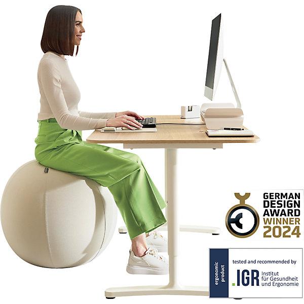 Produktbild Leitz Ergo Active Sitzball (55 cm)