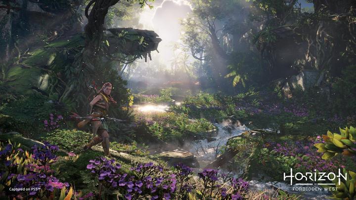 Immagine prodotto Sony Orizzonte Occidente Proibito (PS5, DE)