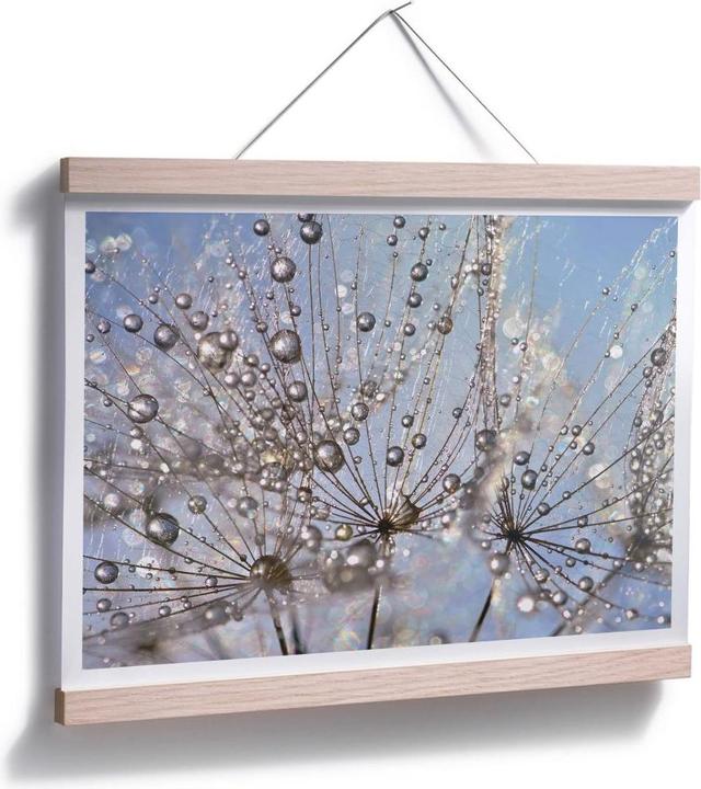 Image du produit Trenddeko Goutte d'eau dans le pissenlit (30 x 24 cm)