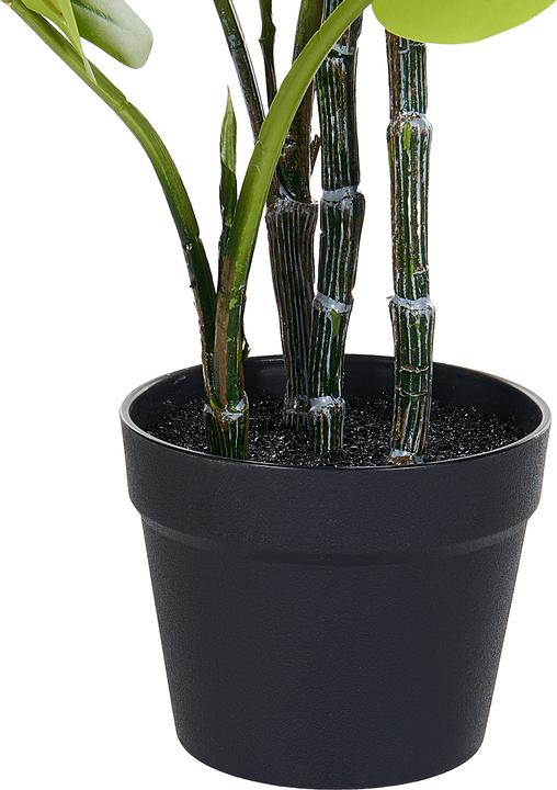 Immagine prodotto Beliani Pianta Di Monstero (94 cm)