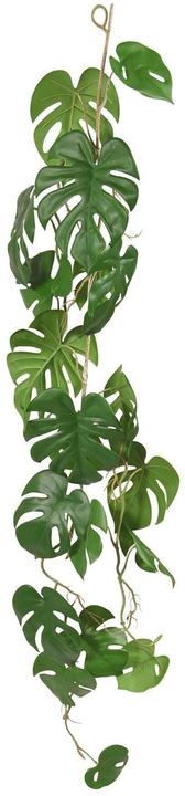 Botanic-Haus Kunstpflanze Monstera 110 cm, Produkttyp: Schnittblumen (110 cm)