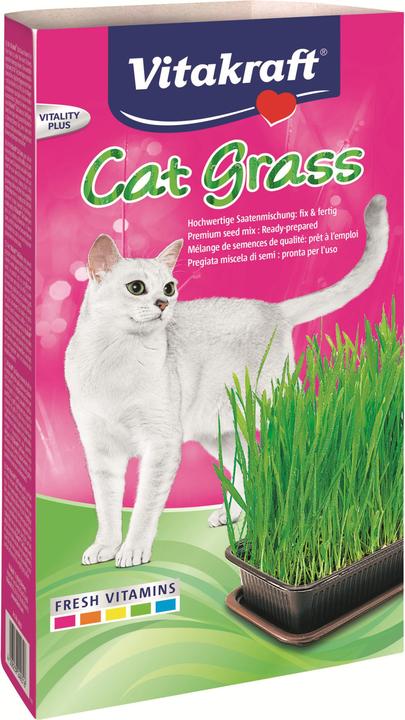 Vitakraft Vita Cat Grass Cat Grass Bowl (Herb seeds)