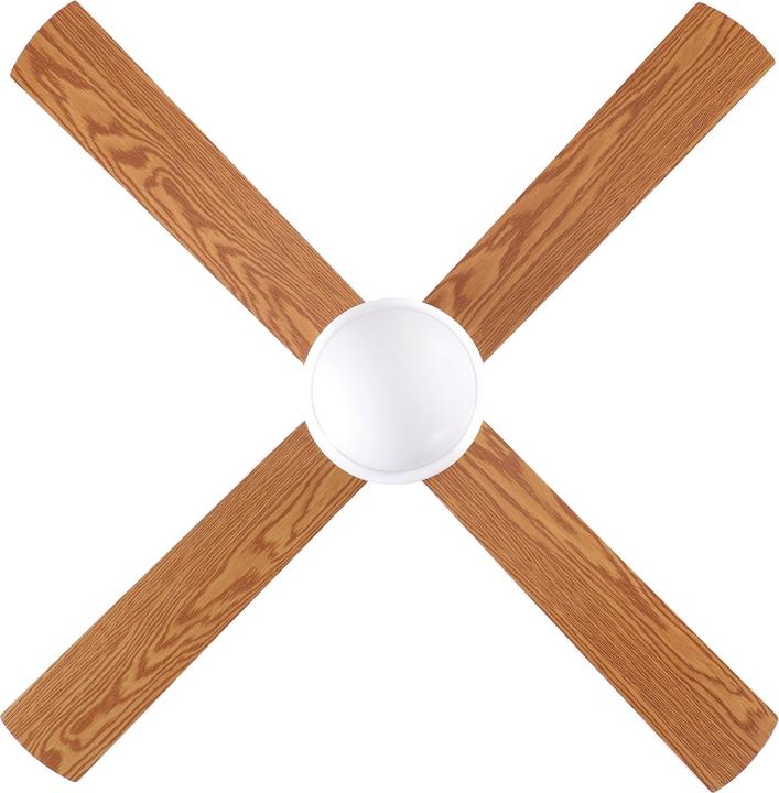 Actual product image EGLO Ceiling fan (52 dB)