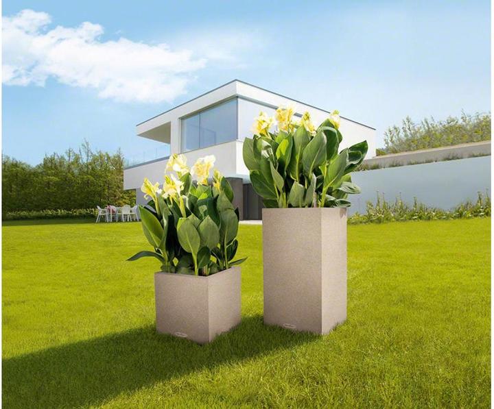 Image du produit Lechuza Colonne Canto Color (30 x 30 x 56 cm)