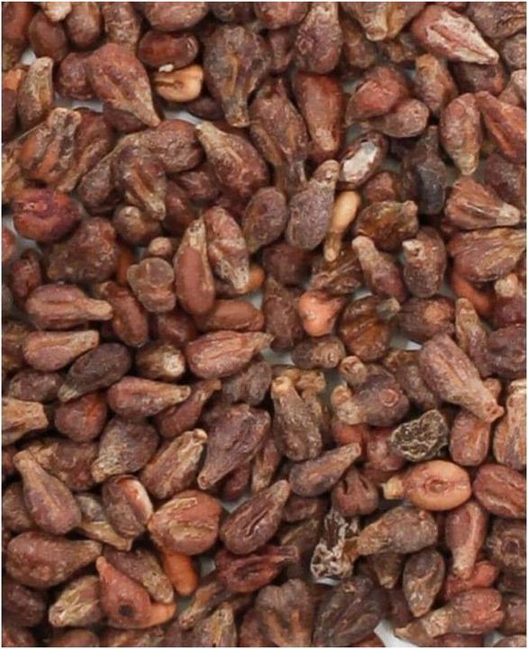 Image du produit I Am Creative Pépins de raisin