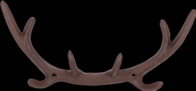 Actual product image Esschert Design Wall hook antler S
