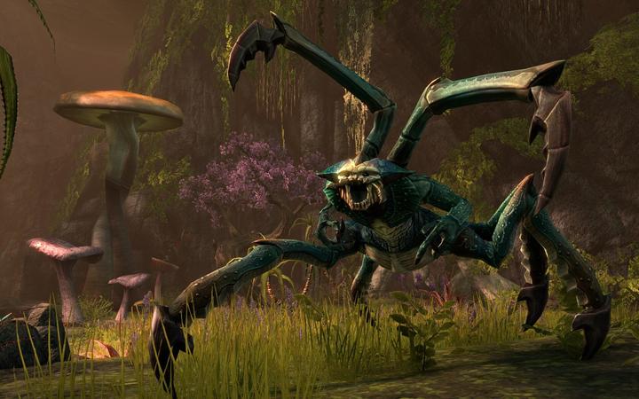 Actual product image Bethesda The Elder Scrolls Online - Tamriel Unlimited (PS4)