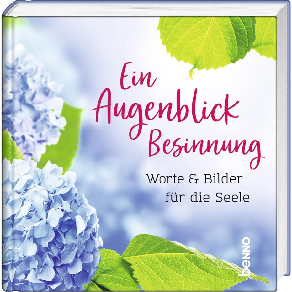 Ein Augenblick Besinnung, Belletristik