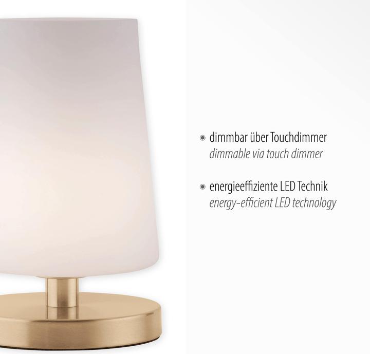 Immagine prodotto Paul Neuhaus lampada da tavolo LED in ottone 3000K 3W (245 lm, G9)