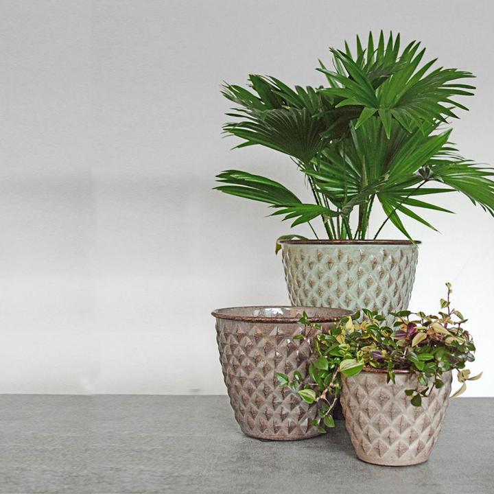 Produktbild Classico Topf Steel Pot (26 x 22 cm)