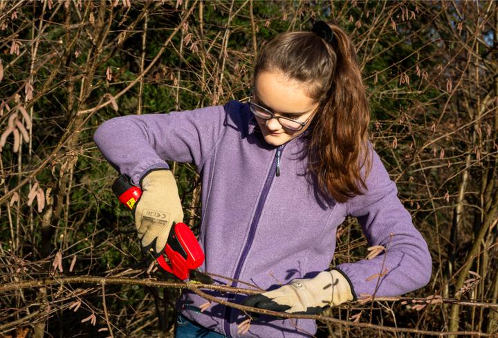 Produktbild Tedura Akku-Gartenschere rot/schwarz
