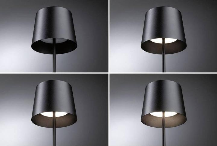 Actual product image Paulmann Gilo (240 lm)