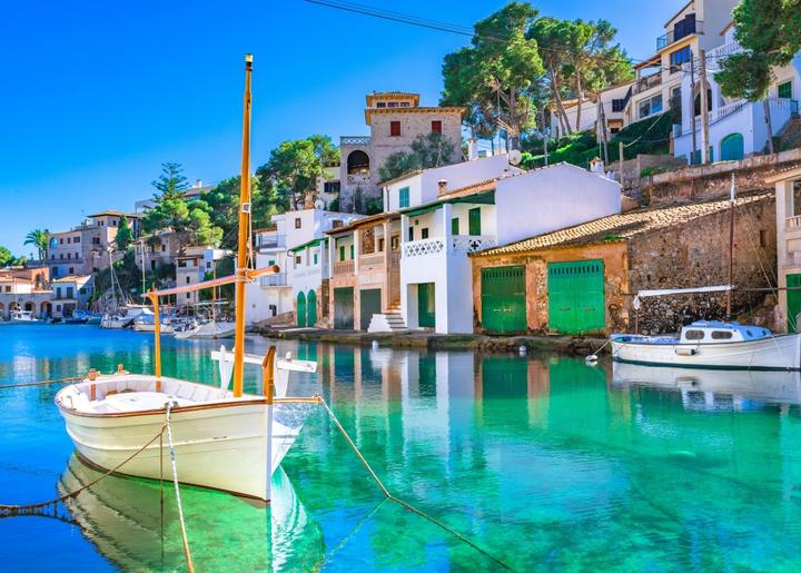 Immagine prodotto Bluebird test (500 pezzi)