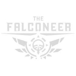 Thumbnail - Wired Productions, The Falconeer