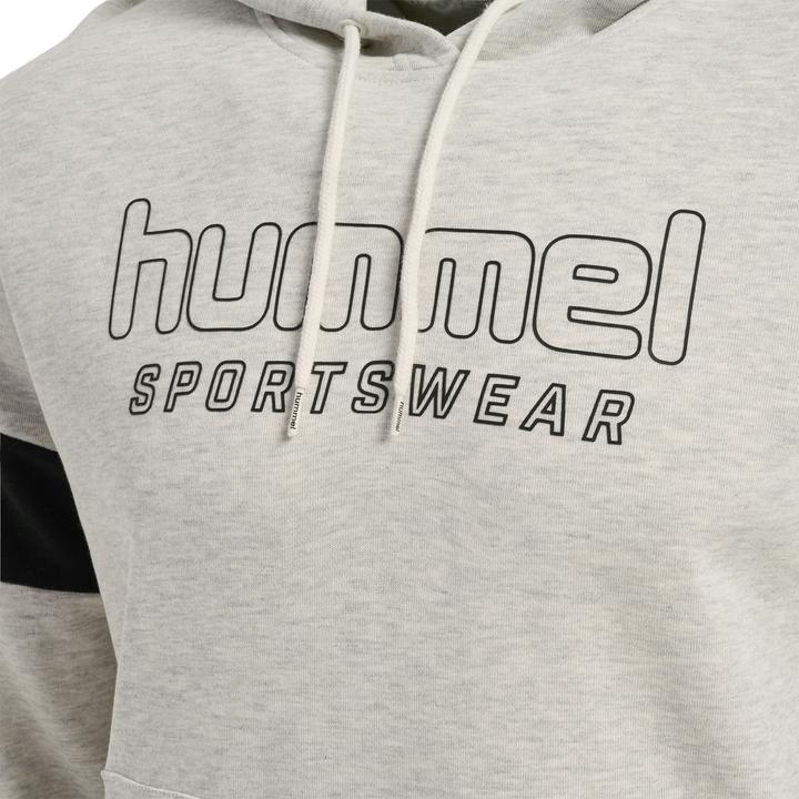 Actual product image hummel hmlLGC BRYCE HOODIE (L)