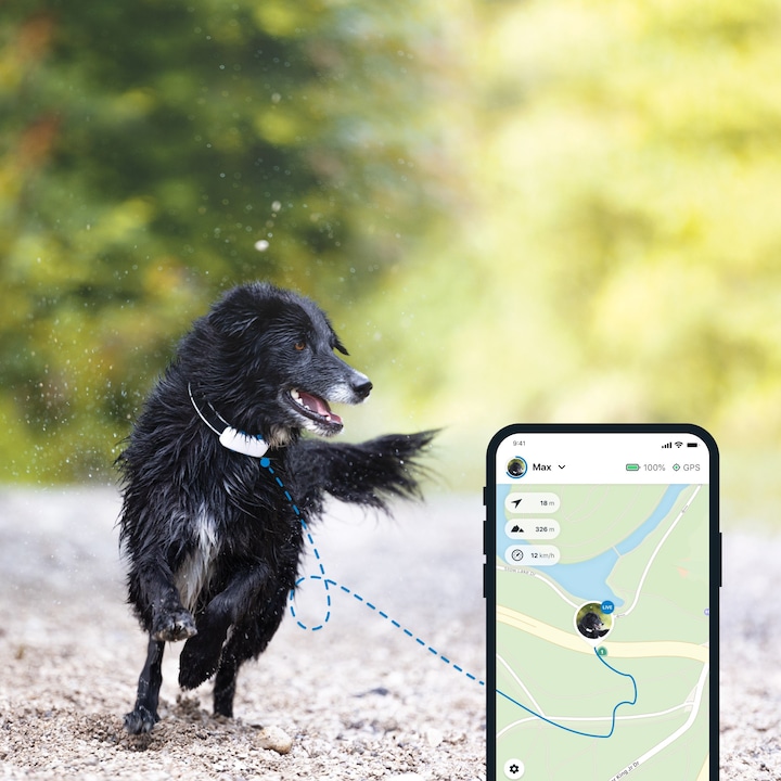 Actual product image Tractive Dog 4 GPS Tracker for Dogs (One size, Dog, General)