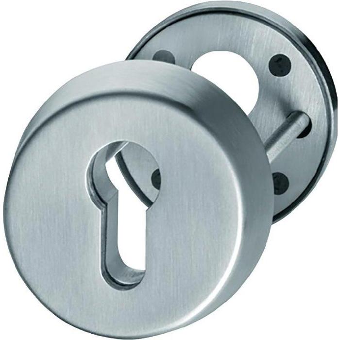 FSB, Türgriff + Fenstergriff, Schutzrosette 73 7395 01 Edelstahl 6204 rund mit Zylinderabdeckung Stärke 12,5 mm (Türgarn...