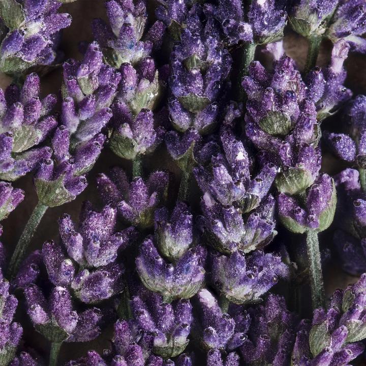 Produktbild Davidoff Cool Water (Eau de Toilette, 50 ml)