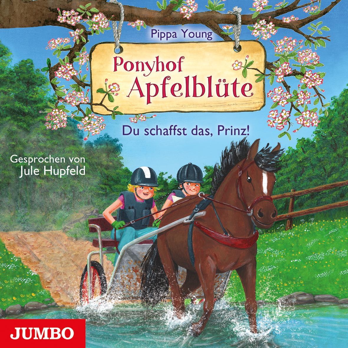 Ponyhof Apfelblüte 19 - Du schaffst das, Prinz!, Hörbücher