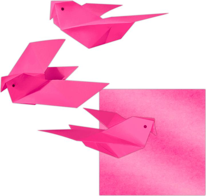 Actual product image Ursus Transparent paper folders, 14 x 14 cm (42 g/m², 100 x)