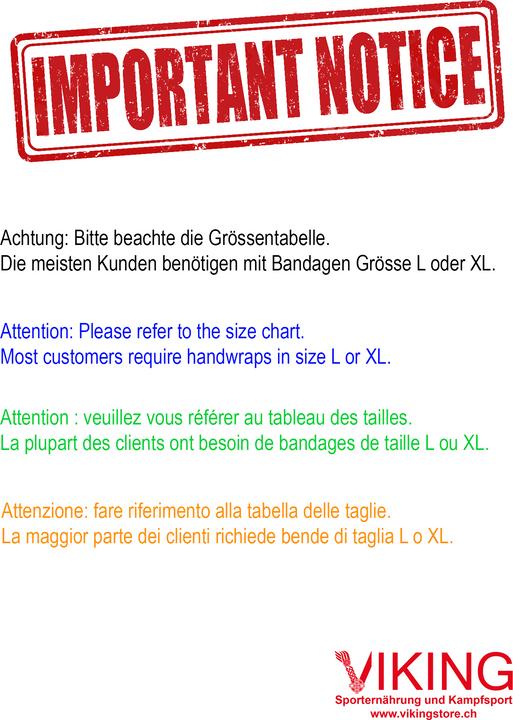 Image du produit Ringhorns Gants de MMA Charger (M)