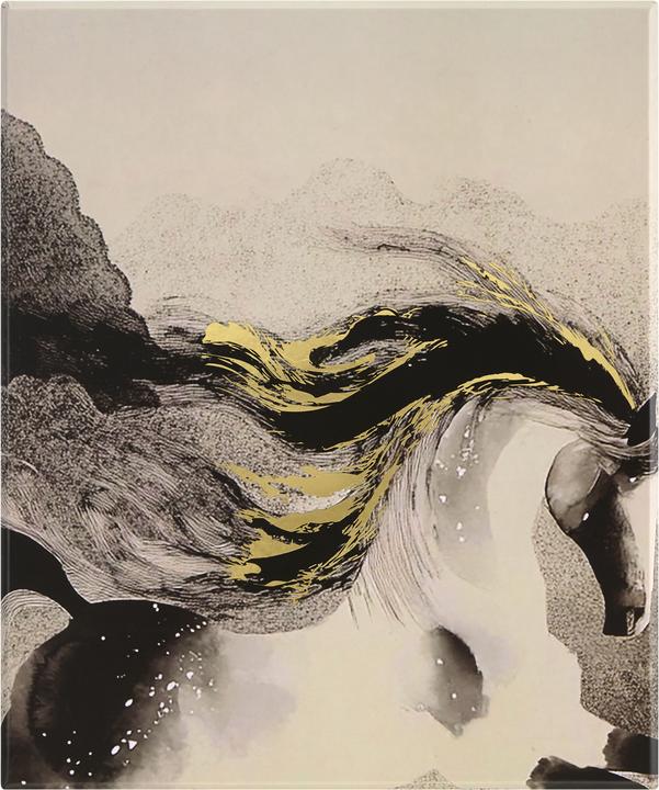 Actual product image Moleskine Kreativ-Set Jahr Pferd (A5, Lined)