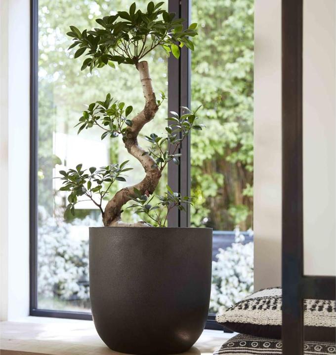 Produktbild Capi Tutch Pot (43 x 41 cm)
