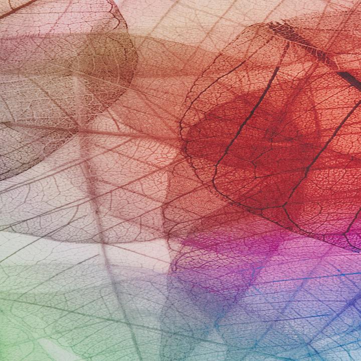 Image du produit Beliani Antakya (200 x 140 cm)