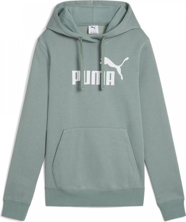 Actual product image Puma ESS No. 1 Logo Hoodie FL (s) (M)