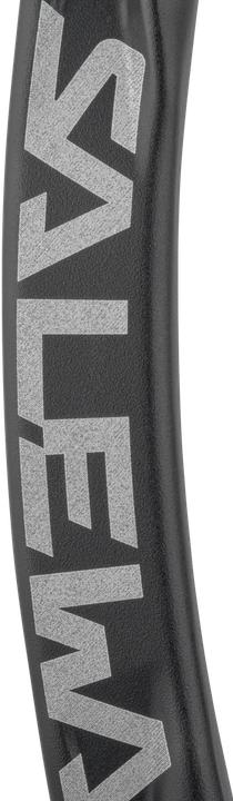 Actual product image Salewa Ortles Straight Carabiner